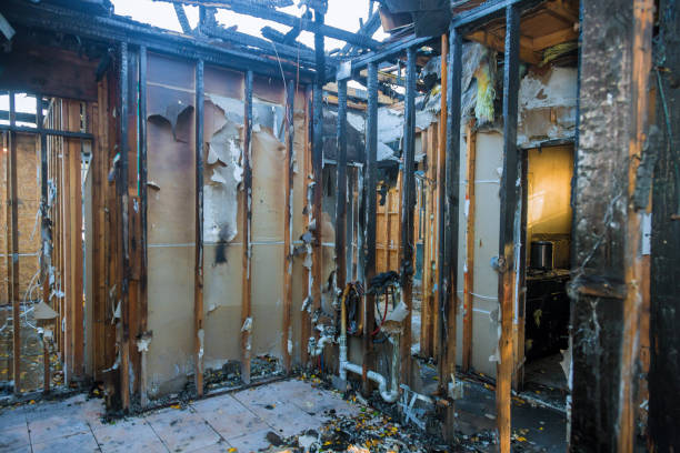 Professional Fire Damage Repair technician working in Stanchfield, MN