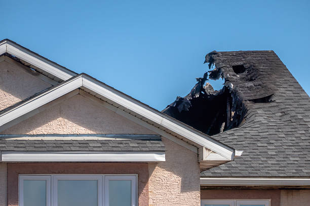 Top rated local Fire Damage Repair specialists in Stanchfield, MN